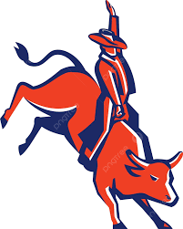 Bullride.com